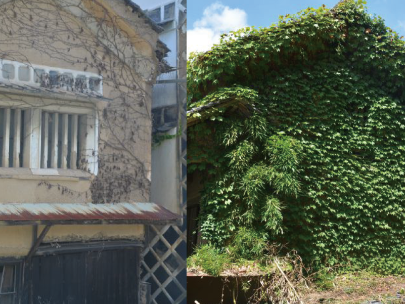 空き家・古民家